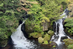 Tokio: Excursión de un día privada al Patrimonio Mundial de Nikko Servicio de recogida del hotel