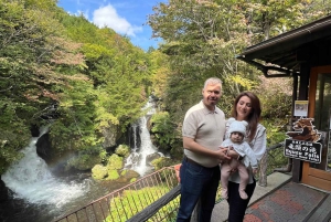 Tokio: Excursión de un día privada al Patrimonio Mundial de Nikko Servicio de recogida del hotel