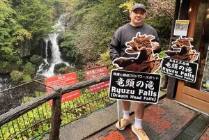 Tokio: Excursión de un día privada al Patrimonio Mundial de Nikko Servicio de recogida del hotel