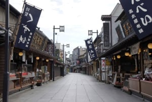 Tokyo: Off the Beaten Path Private Guided Tour