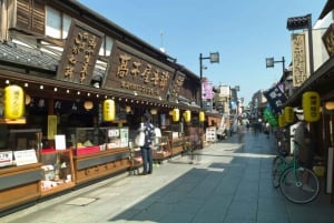 Tokyo: Off the Beaten Path Private Guided Tour