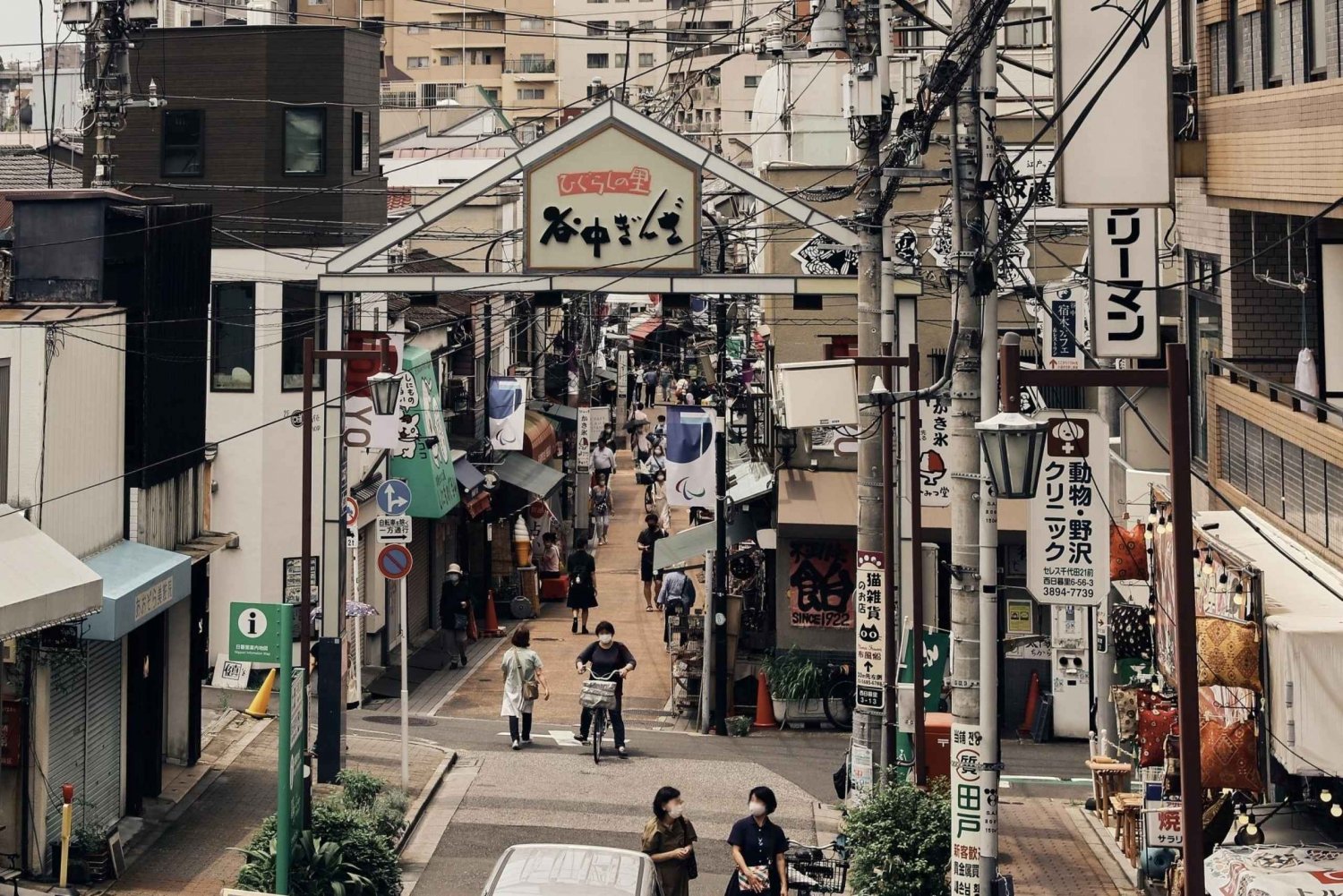 Tokyo: Old Quarter Yanaka Walking Tour