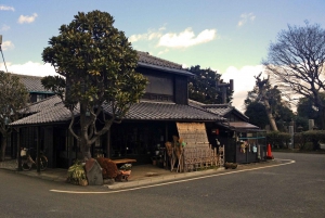 Tokyo: Old Quarter Yanaka Walking Tour