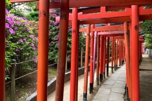 Tokyo: Old Quarter Yanaka Walking Tour