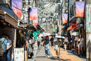Tokio: Rundgang durch das alte Viertel Yanaka