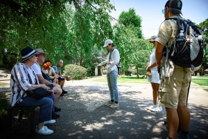Tokio: Wycieczka piesza po starej dzielnicy Yanaka