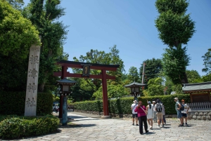 Tokio: Wycieczka piesza po starej dzielnicy Yanaka