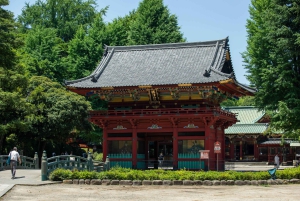 Tokio: Wycieczka piesza po starej dzielnicy Yanaka