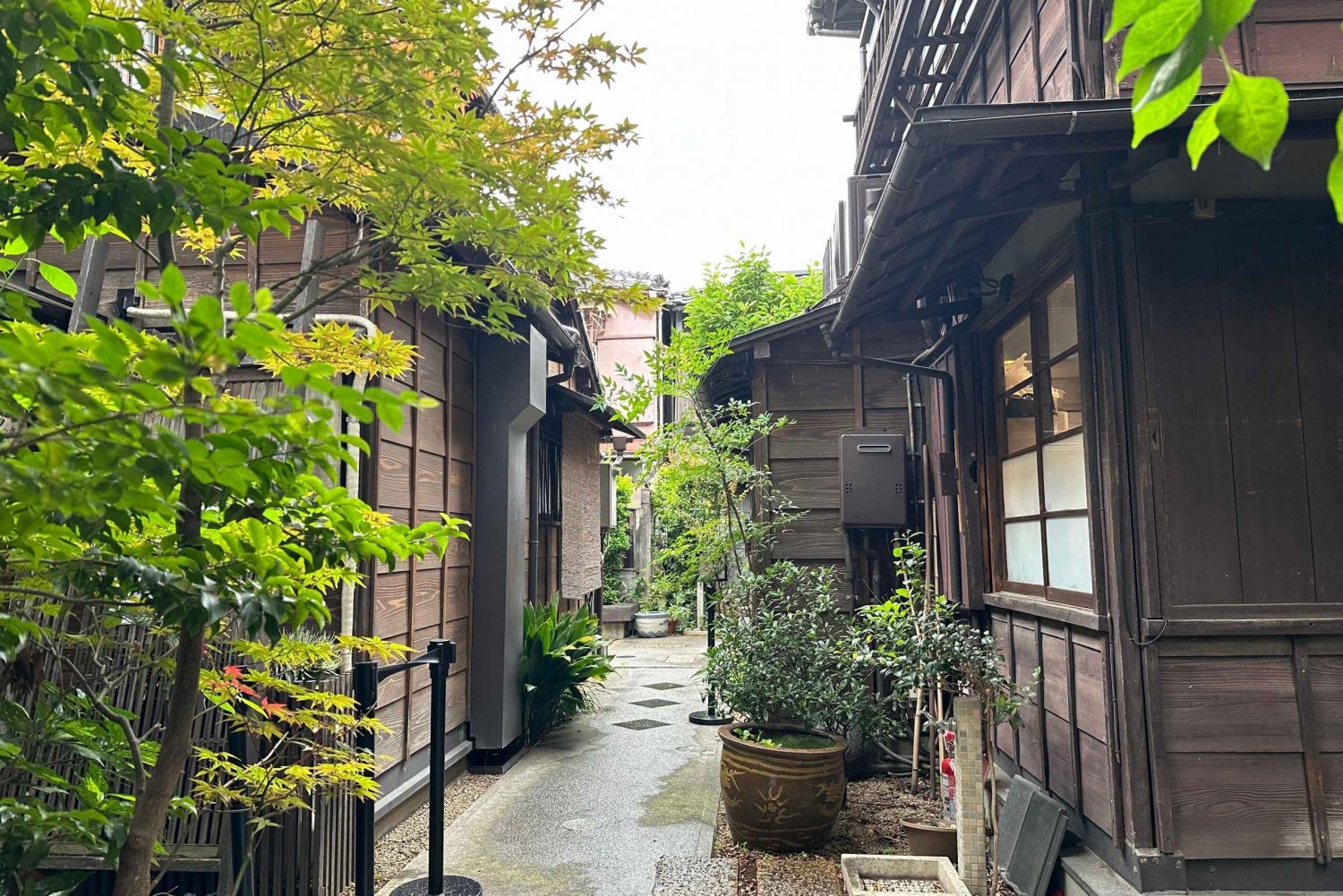 Tokyo Old traditional town~Yanaka , Nezu & Ueno Sakuragi