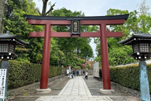 Tokio Casco antiguo tradicional~Yanaka , Nezu y Ueno Sakuragi