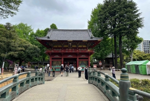 Tokio Casco antiguo tradicional~Yanaka , Nezu y Ueno Sakuragi