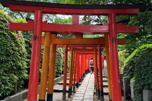 Tokio Casco antiguo tradicional~Yanaka , Nezu y Ueno Sakuragi