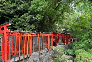 Tokio Casco antiguo tradicional~Yanaka , Nezu y Ueno Sakuragi