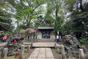 Tokio Casco antiguo tradicional~Yanaka , Nezu y Ueno Sakuragi