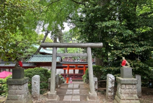 Tokio Casco antiguo tradicional~Yanaka , Nezu y Ueno Sakuragi