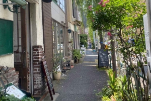 Tokio Casco antiguo tradicional~Yanaka , Nezu y Ueno Sakuragi