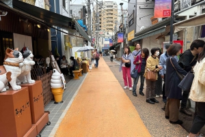 Tokio Casco antiguo tradicional~Yanaka , Nezu y Ueno Sakuragi