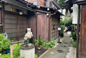 Tokio Casco antiguo tradicional~Yanaka , Nezu y Ueno Sakuragi