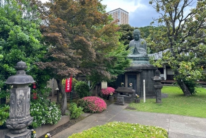 Tokio Casco antiguo tradicional~Yanaka , Nezu y Ueno Sakuragi