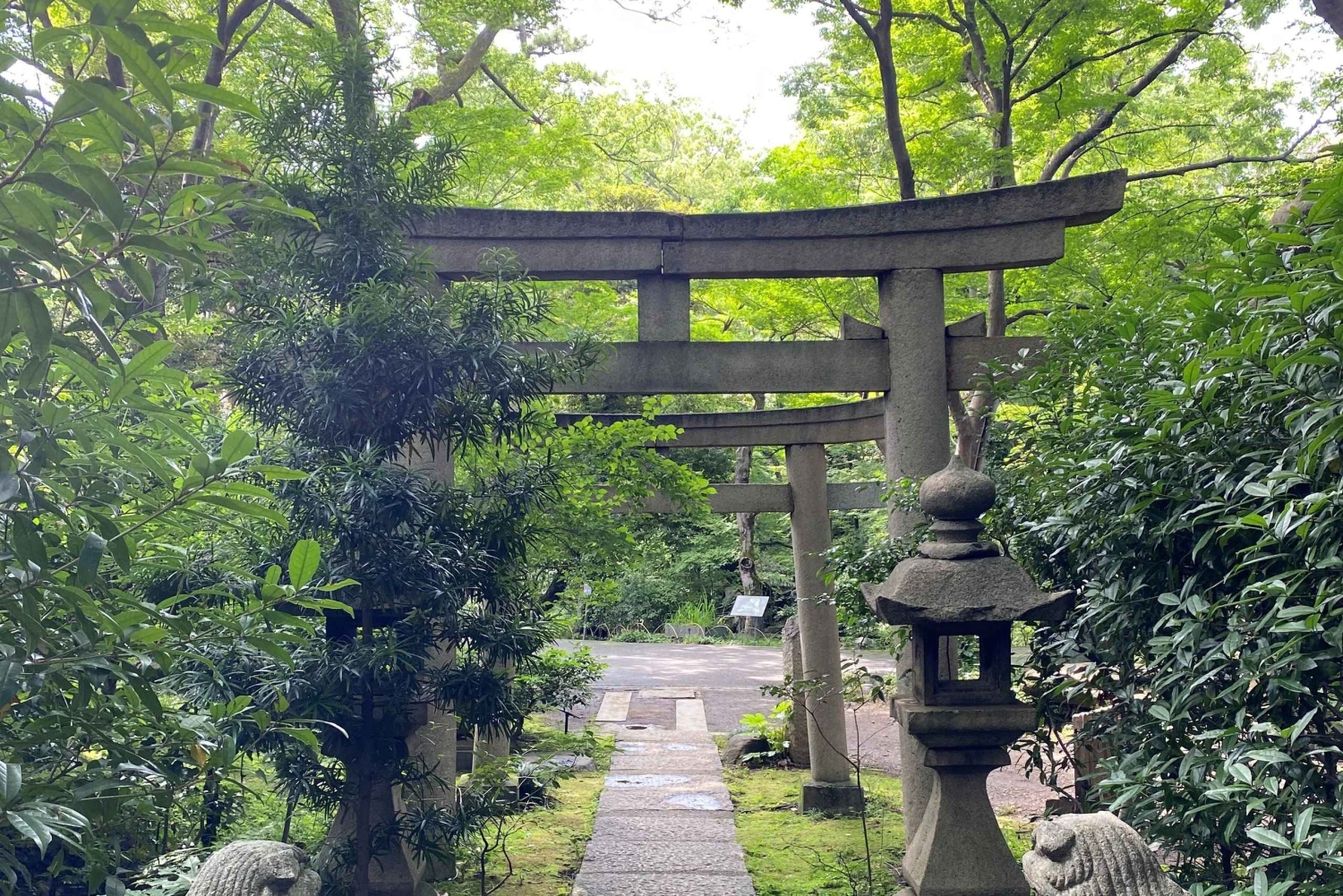 Tokyo: Omotesandos estetiska flykt till Beni Museum