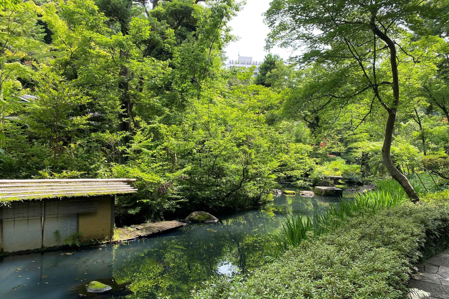 Tokyo: Omotesandos estetiska flykt till Beni Museum