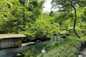 Tokyo: Omotesandos estetiska flykt till Beni Museum