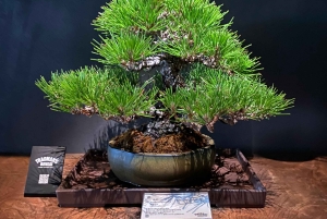 Tokyo: Omotesandos estetiska flykt till Beni Museum