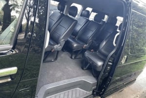 Tokyo : Transfert privé aller simple de/vers l'aéroport de Narita (NRT)