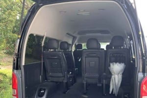 Tokyo : Transfert privé aller simple de/vers l'aéroport de Narita (NRT)