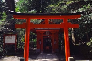 Tokyo: Onsen, Arts, and Nature Day Trip to Fuji and Hakone