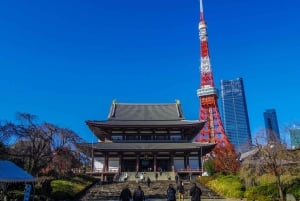 Tokyo: Open Top Sightseeing Bus med audioguide