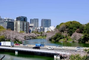 Tokyo: Open Top Sightseeing Bus med audioguide