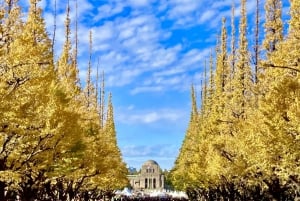 Tokyo: Open Top Sightseeing Bus med audioguide