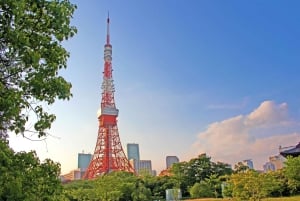 Tokyo: Open Top Sightseeing Bus med audioguide