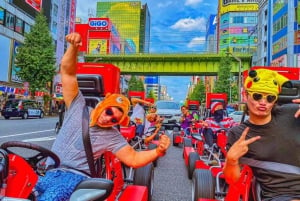 Tokio: Original Street Kart Erlebnis aus Akihabara