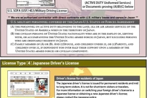 東京秋葉原でストリートカートを体験