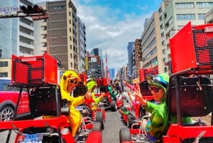 Tokyo: Original Street Kart Experience from Tokyo Bay