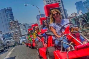 Tokyo: Original Street Kart Experience from Tokyo Bay