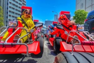 Tokyo: Original Street Kart Experience from Tokyo Bay