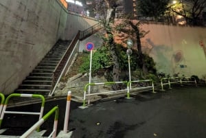 Tokyo: Otsuka Nightlife Tour with Izakayas, Bars and Snacks