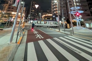 Tokyo: Otsuka Nightlife Tour with Izakayas, Bars and Snacks
