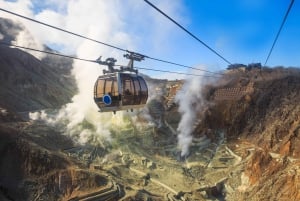 Tokyo: Fuji, Owakudani, Hakone-helgedomen och friluftsmuseet