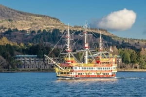 Tokyo: Fuji, Owakudani, Hakone-helgedomen och friluftsmuseet