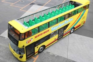 Tokio: 60min de tour panorámico en autobús descapotable con audioguía