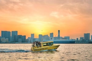 Tokyo: Panorama-solnedgangscruise med lokal guide og drink