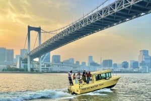 Tokyo: Panorama-solnedgangscruise med lokal guide og drink