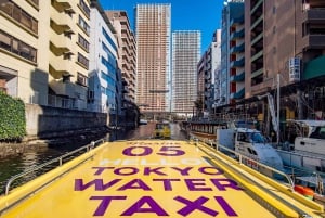 Tokyo: Panorama-solnedgangscruise med lokal guide og drink