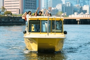 Tokyo: Panorama-solnedgangscruise med lokal guide og drink