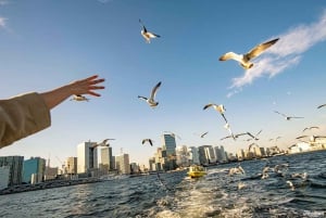 Tokyo: Panorama-solnedgangscruise med lokal guide og drink