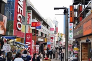 Tokyo Pop Culture & Tradition Tour: Meiji Shrine to Harajuku